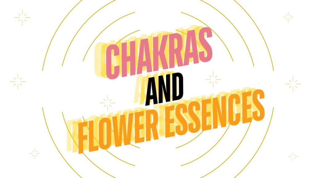 chakras and flower essences blog post foto